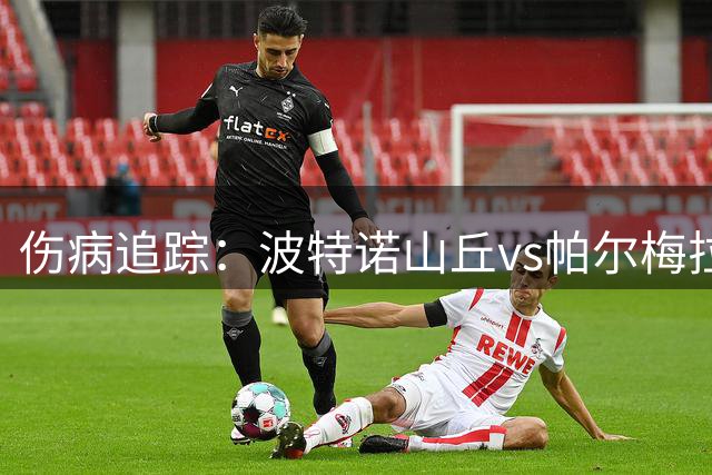 伤病追踪：波特诺山丘vs帕尔梅拉斯，客队多点减员
