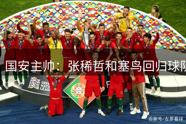 国安主帅：张稀哲和塞鸟回归球队 我们在主场很有信心